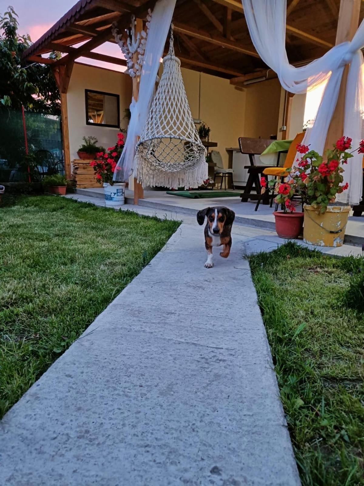 Casa Enka *